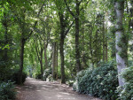 Gerardus Majella Park